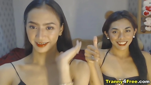 Shemale teen gets her pussy fucked in hd threesome